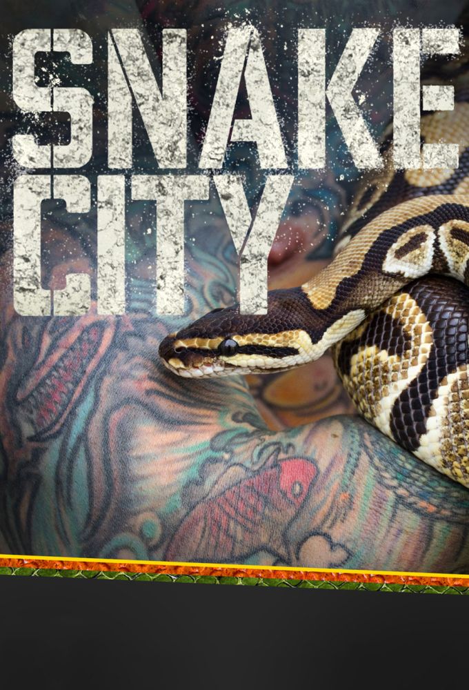 Poster de la serie Snakes in the city