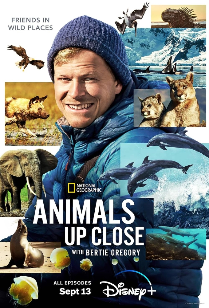 Poster de la serie Animals Up Close with Bertie Gregory