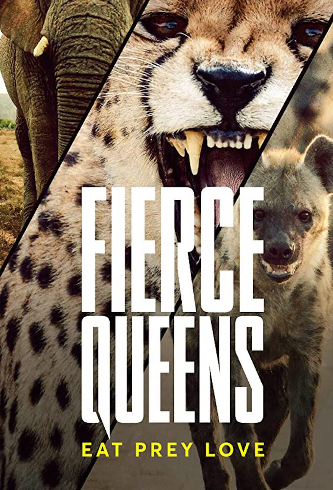 Poster de la serie Fierce Queens