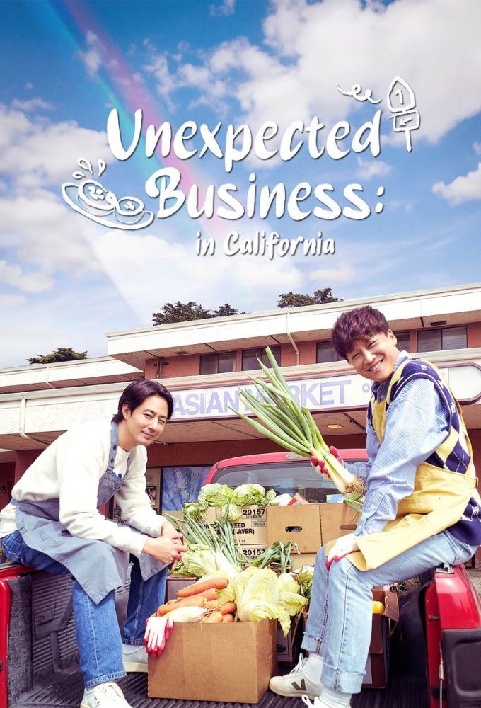 Poster de la serie Unexpected Business