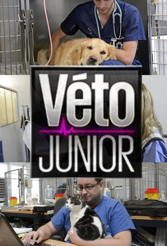 Poster de la serie Véto junior