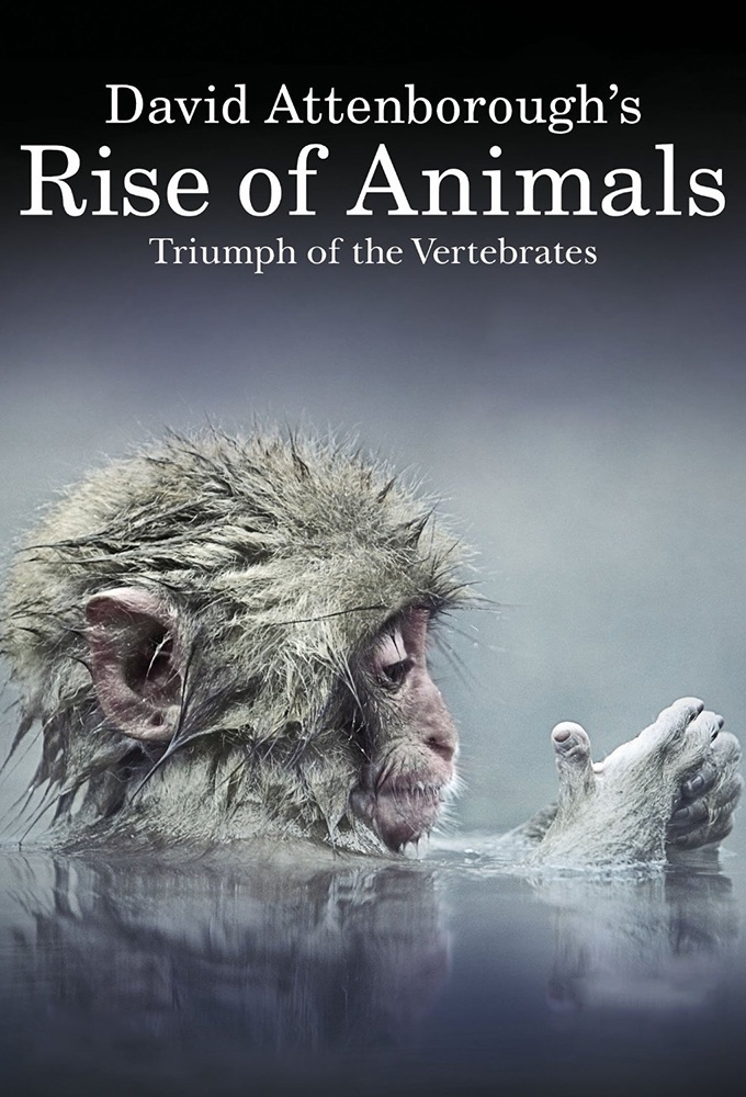 Poster de la serie David Attenborough's Rise of Animals: Triumph of the Vertebrates