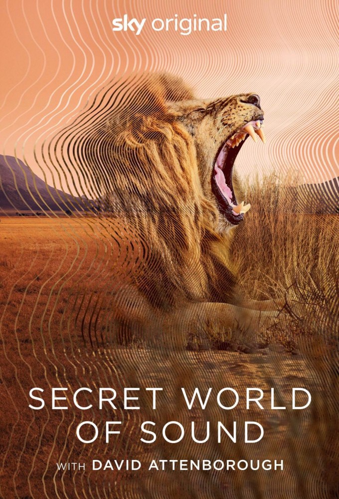 Poster de la serie Secret World of Sound with David Attenborough