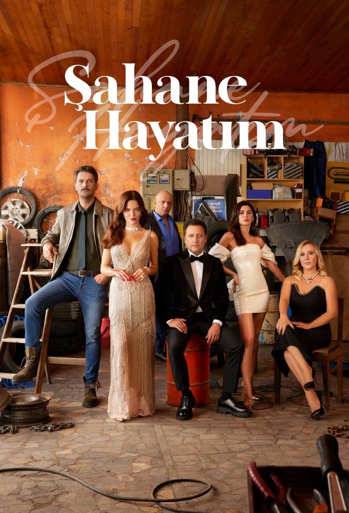 Poster de la serie Şahane Hayatım