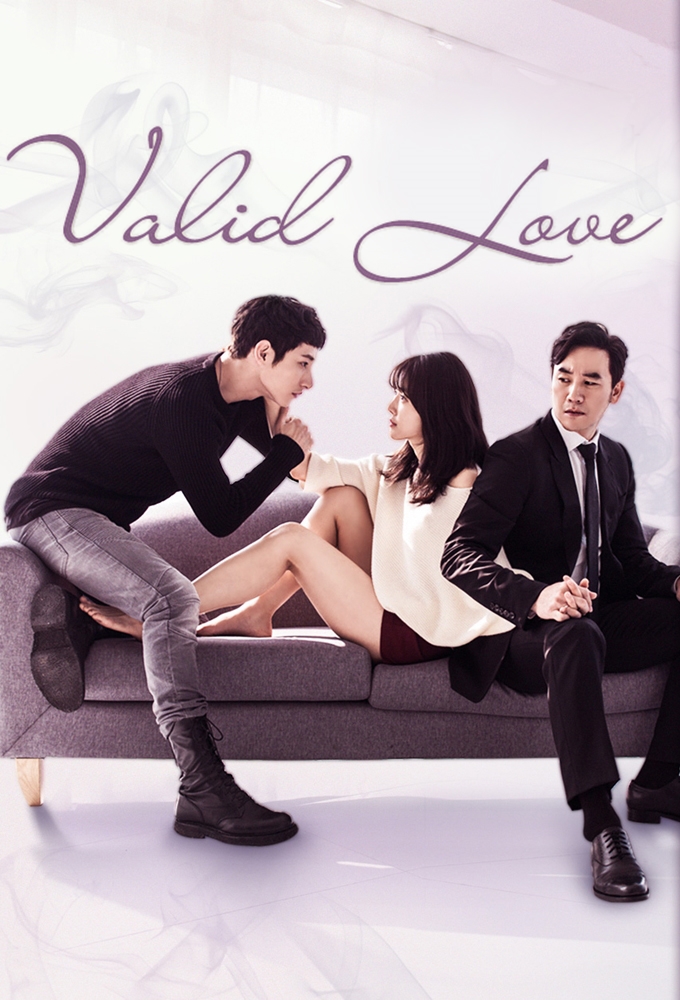 Poster de la serie Valid Love