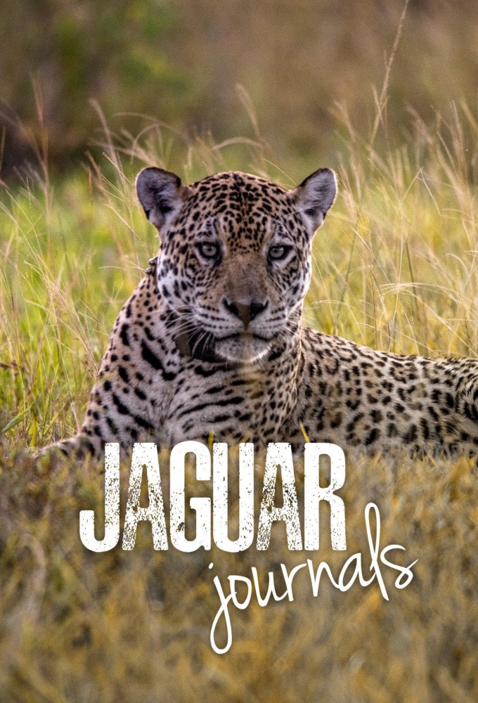 Poster de la serie Jaguar Journals