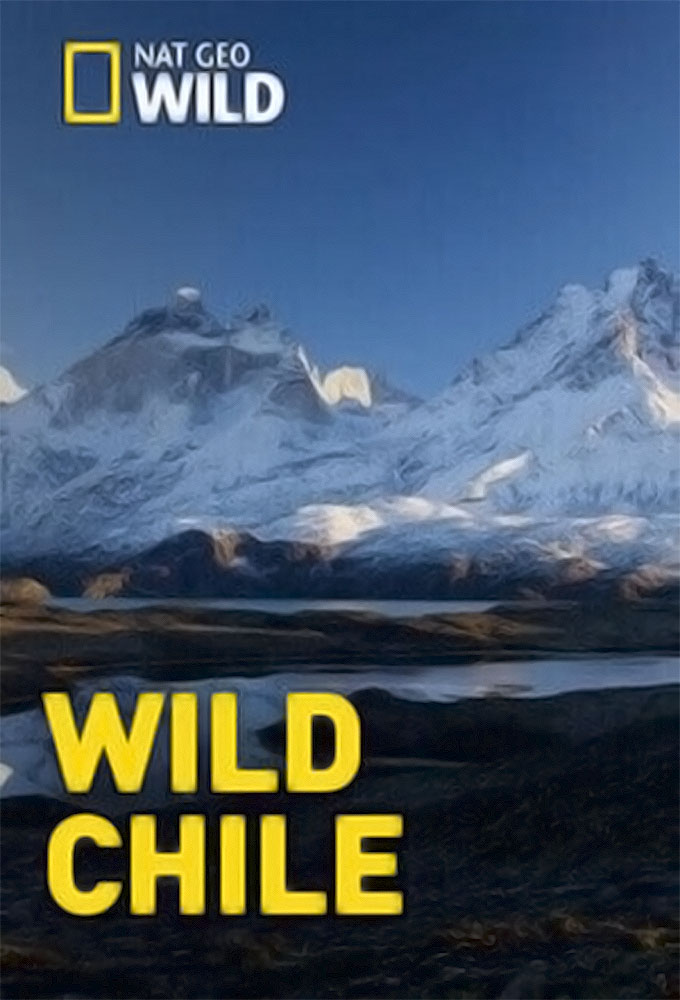 Poster de la serie Wildes Chile