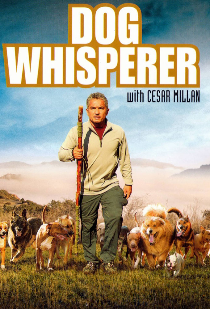 Poster de la serie César, l'homme qui parle aux chiens