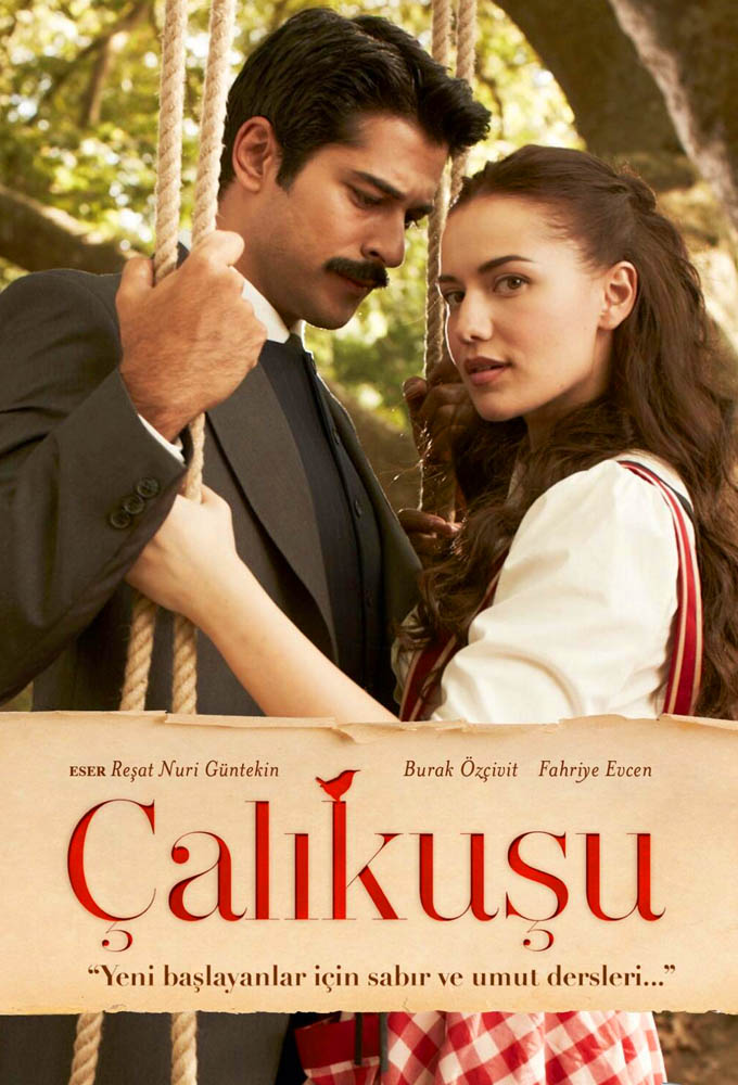 Poster de la serie Calikusu (2013)