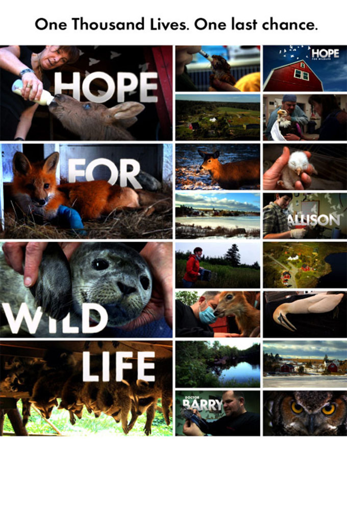 Poster de la serie Hope for Wildlife