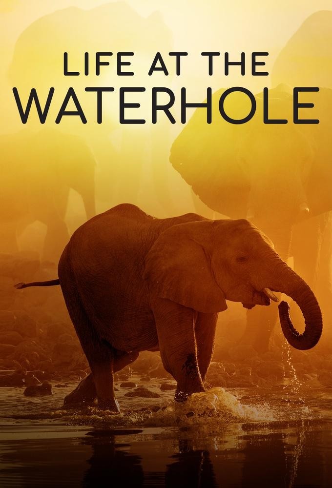 Poster de la serie Life at the Waterhole