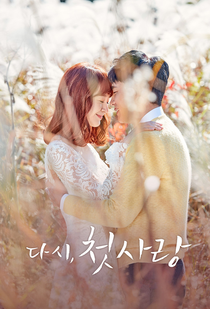 Poster de la serie First Love Again