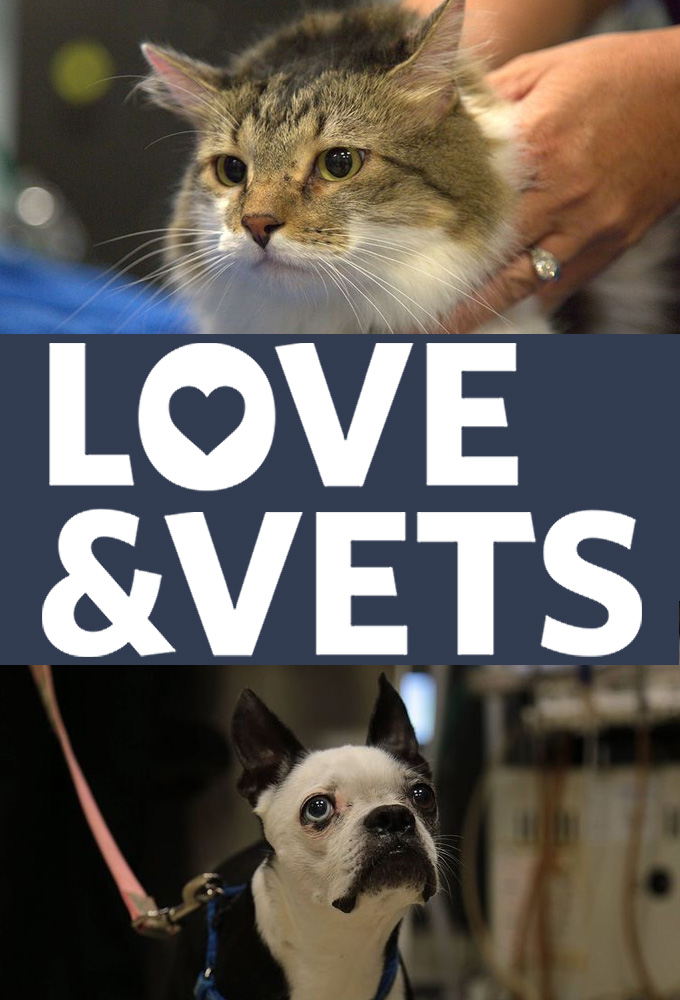 Poster de la serie Love and Vets