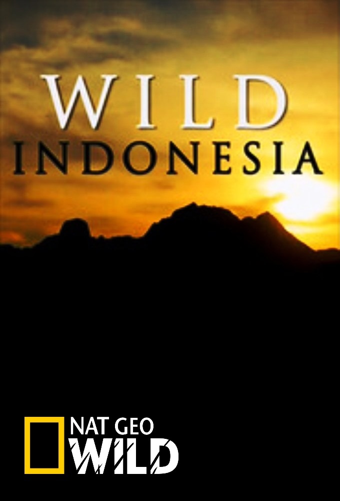 Poster de la serie Destination Wild Indonesia