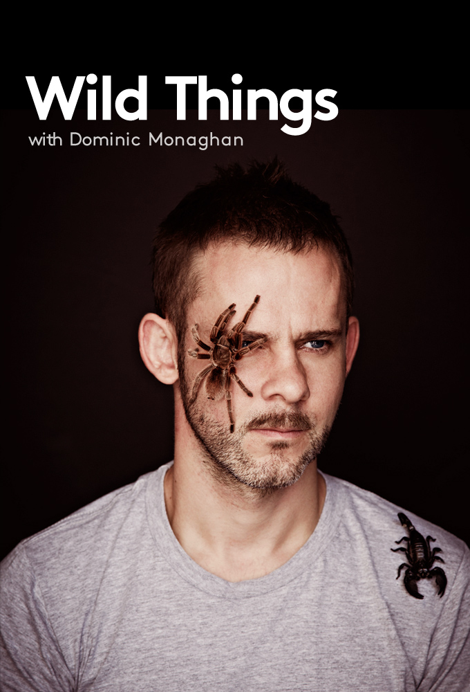 Poster de la serie Buscando Bichos con Dominic Monaghan