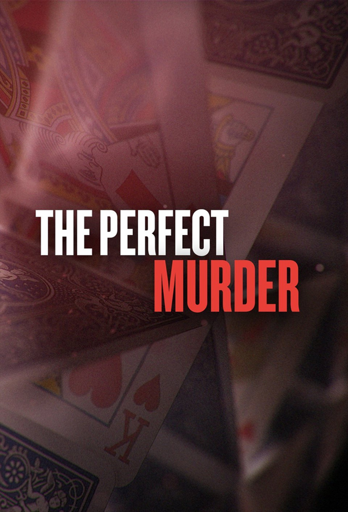 Poster de la serie The Perfect Murder