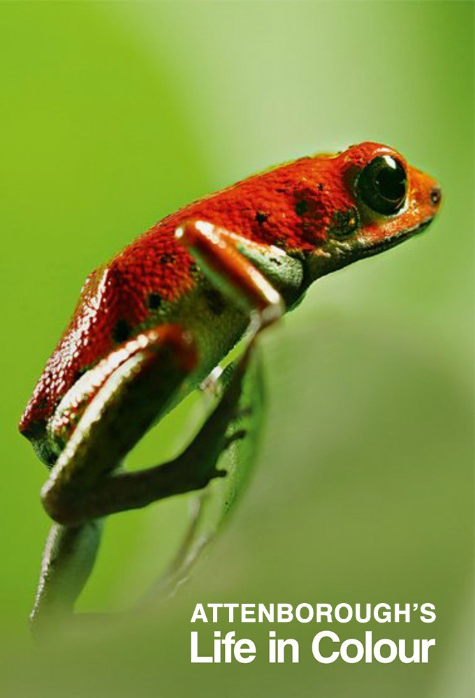 Poster de la serie La Vie en couleurs avec David Attenborough