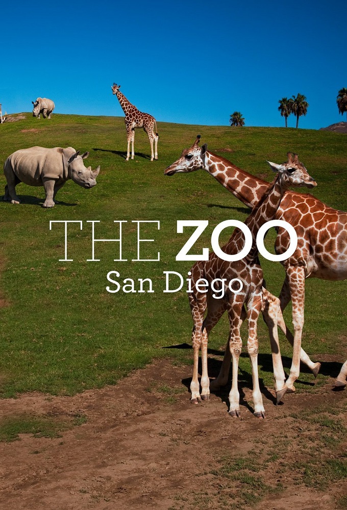 Poster de la serie San Diego Zoo