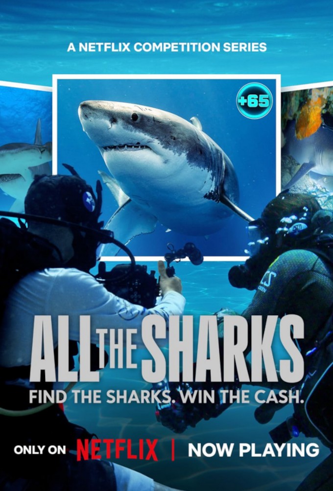 Poster de la serie All the Sharks : Trouvez-les tous !
