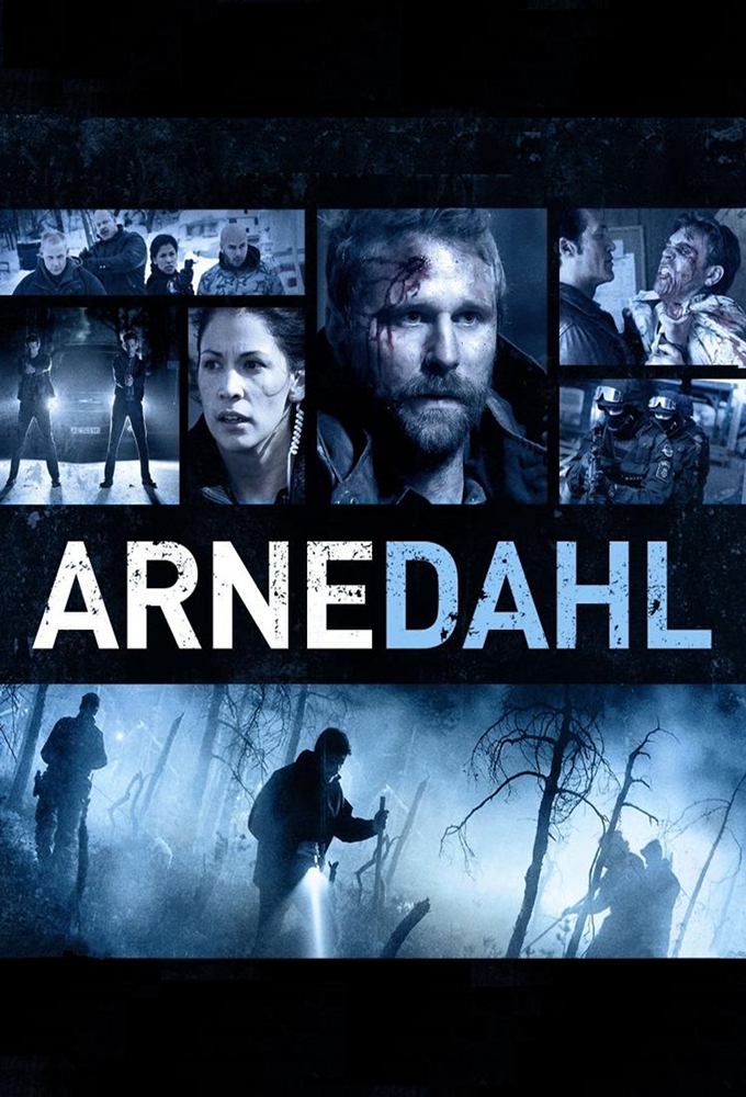 Poster de la serie Arne Dahl