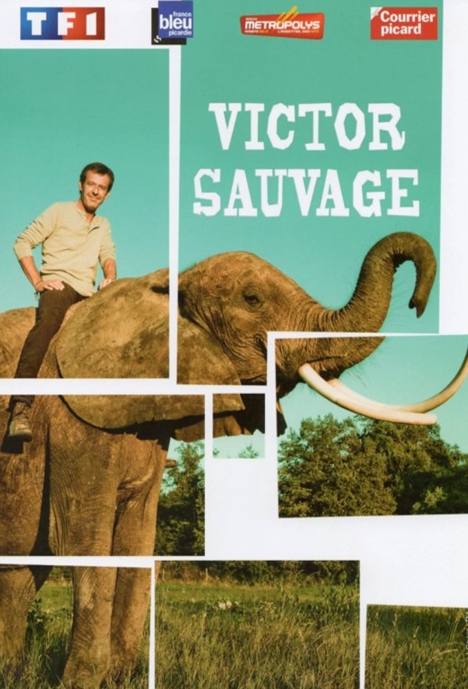 Poster de la serie Victor Sauvage