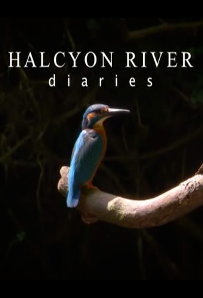 Poster de la serie Halcyon River Diaries