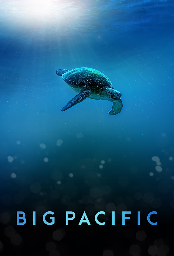 Poster de la serie Big Pacific