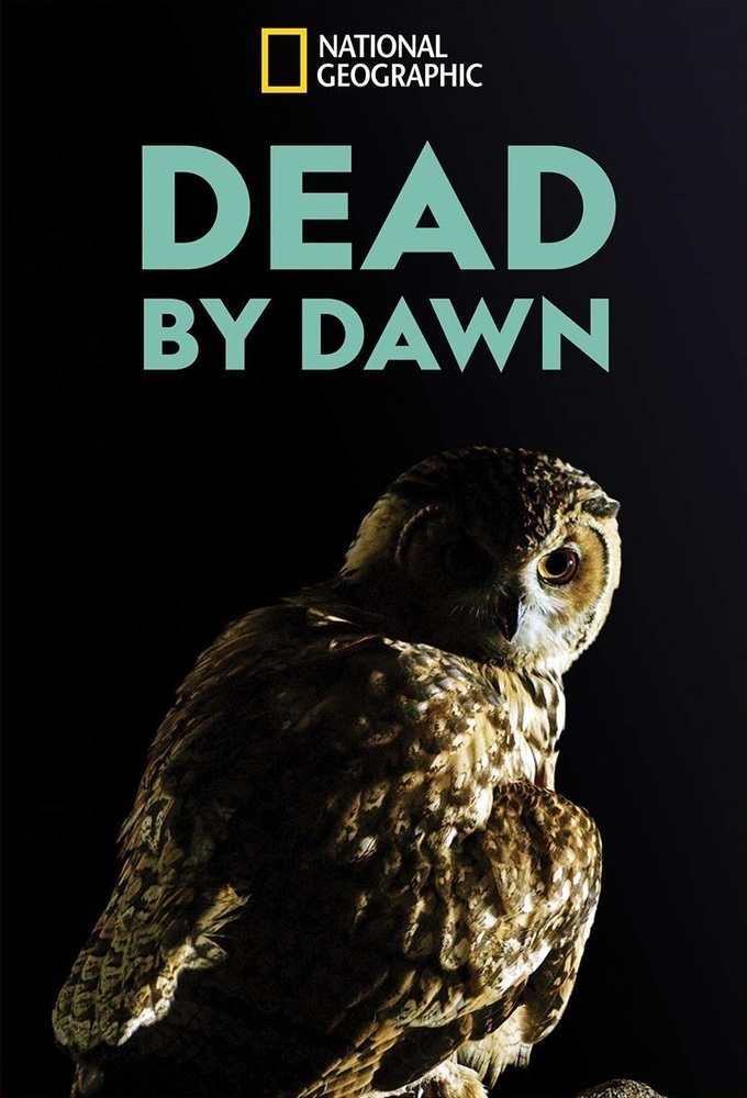 Poster de la serie Dead by Dawn