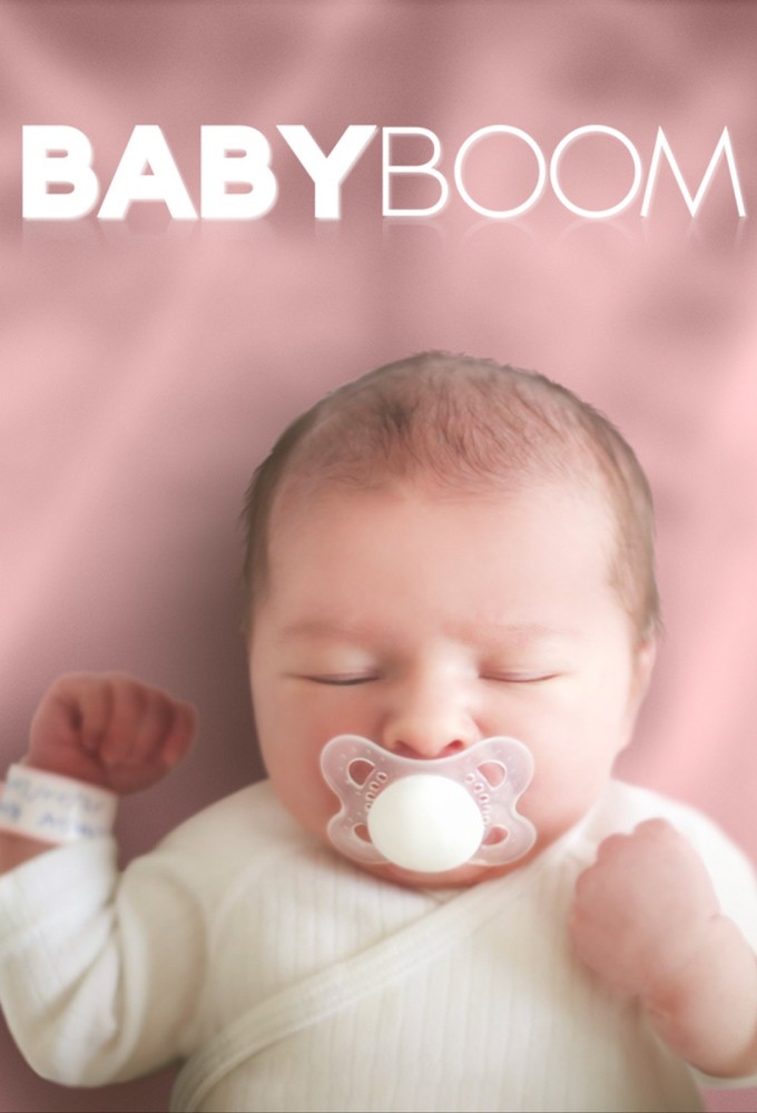 Poster de la serie Baby Boom