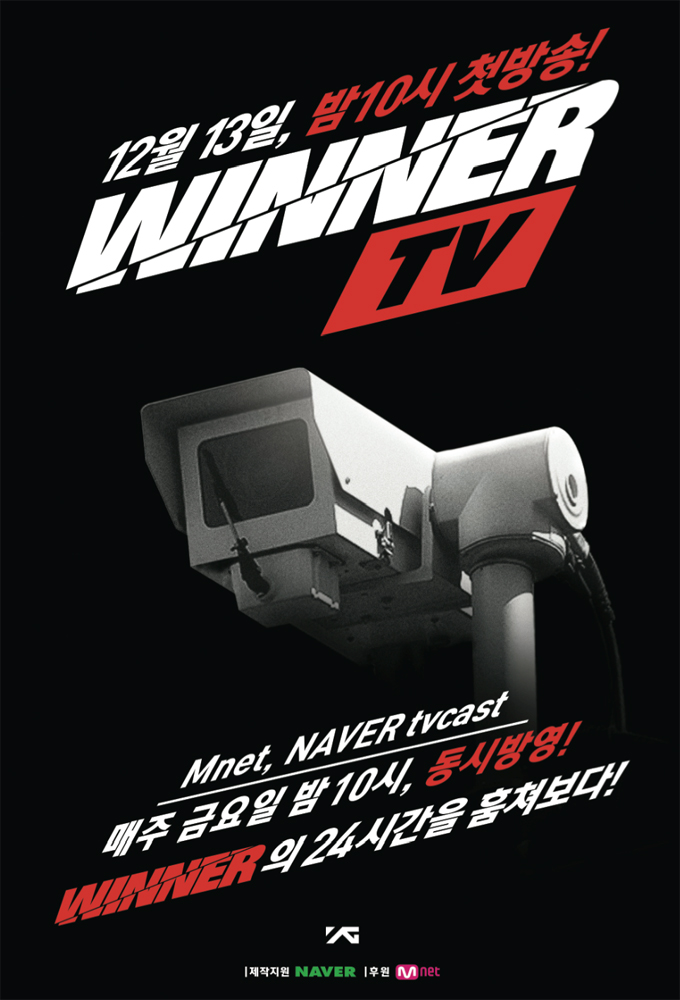 Poster de la serie WINNER TV