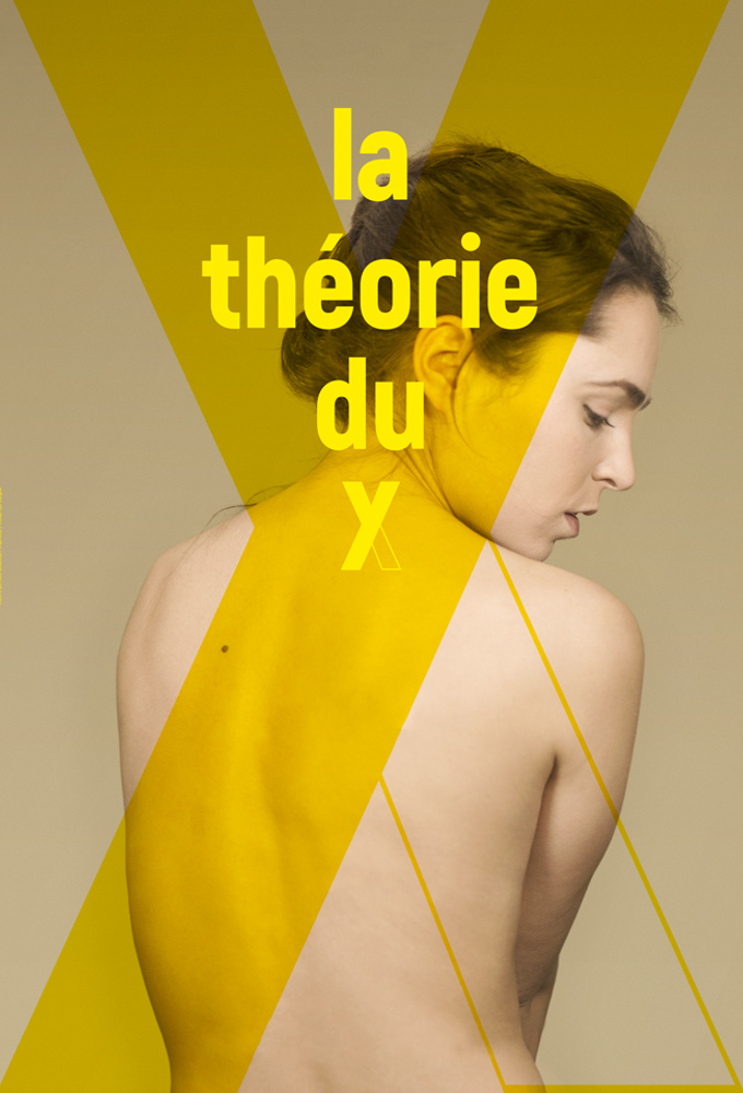 Poster de la serie La Théorie du Y