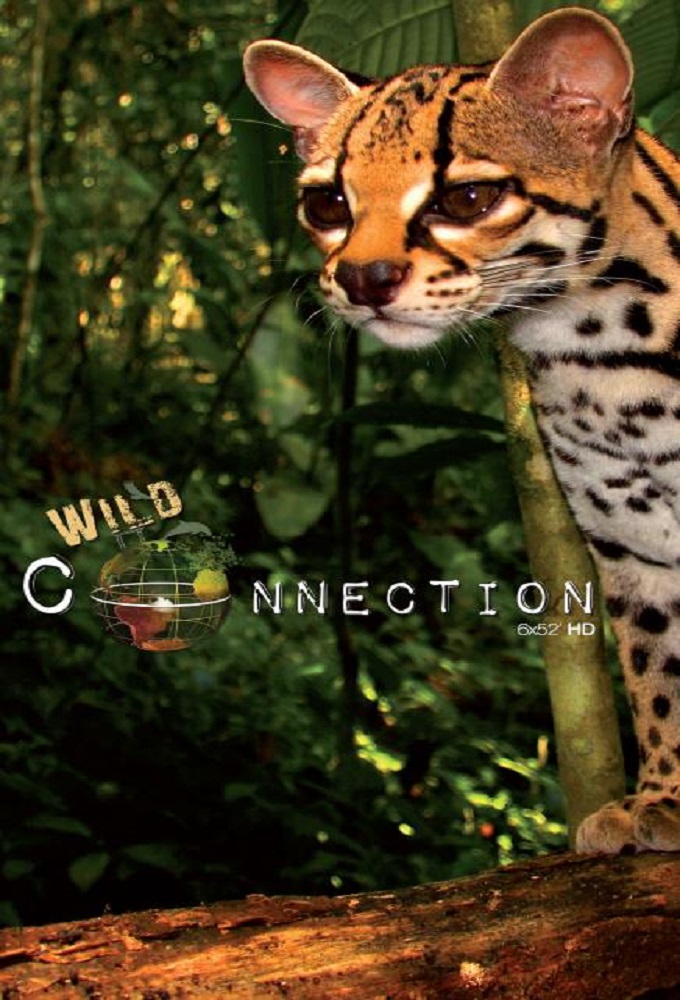 Poster de la serie Wild Connection