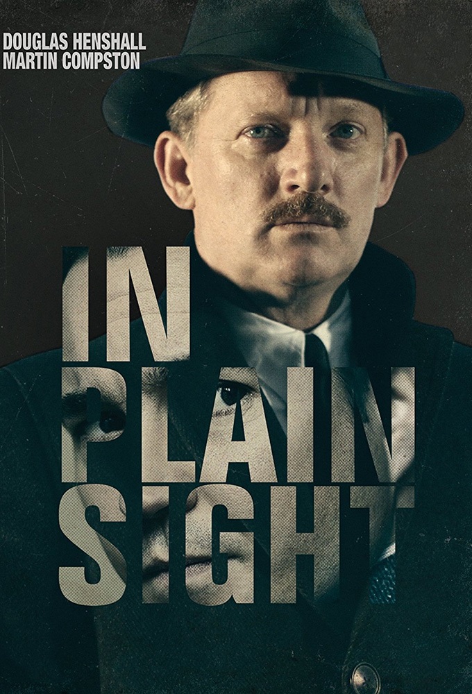 Poster de la serie In Plain Sight (2016)