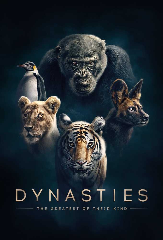 Poster de la serie Dynasties (2018)