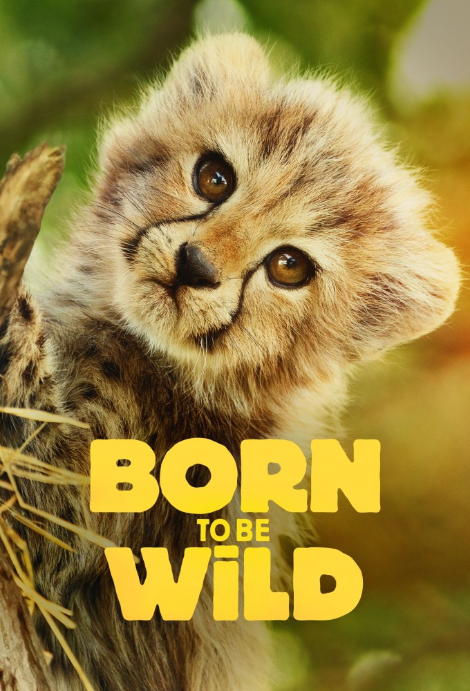 Poster de la serie Born to be Wild