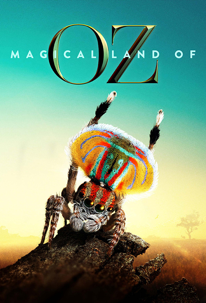 Poster de la serie La mágica tierra de Oz