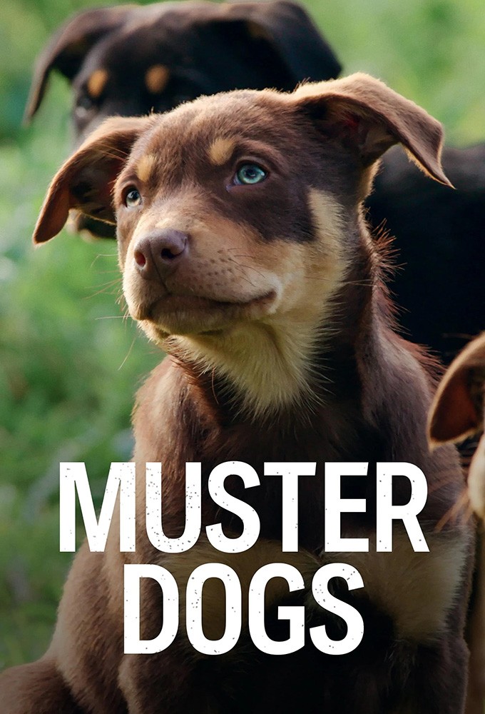 Poster de la serie Muster Dogs