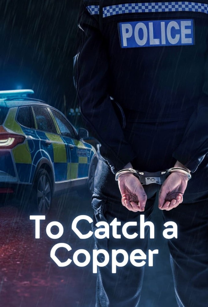Poster de la serie To Catch a Copper