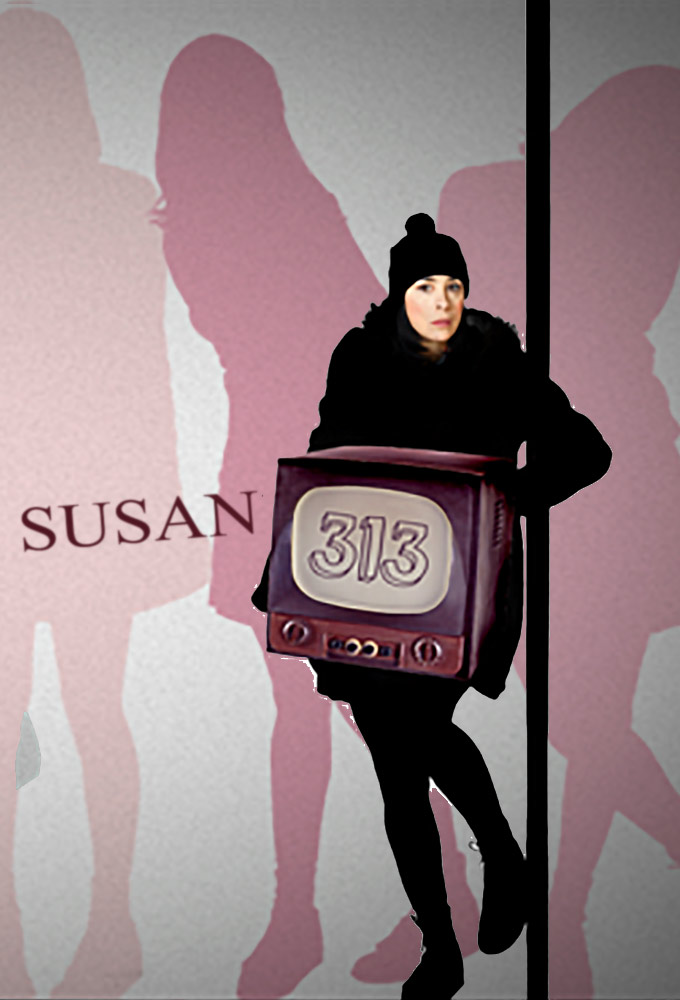 Poster de la serie Susan 313