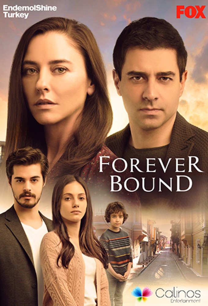 Poster de la serie Forever Bound