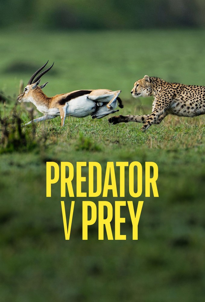 Poster de la serie Predator v Prey