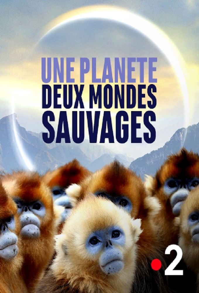 Poster de la serie Une planète, deux mondes sauvages