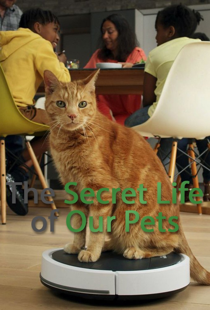 Poster de la serie The Secret Life of Our Pets