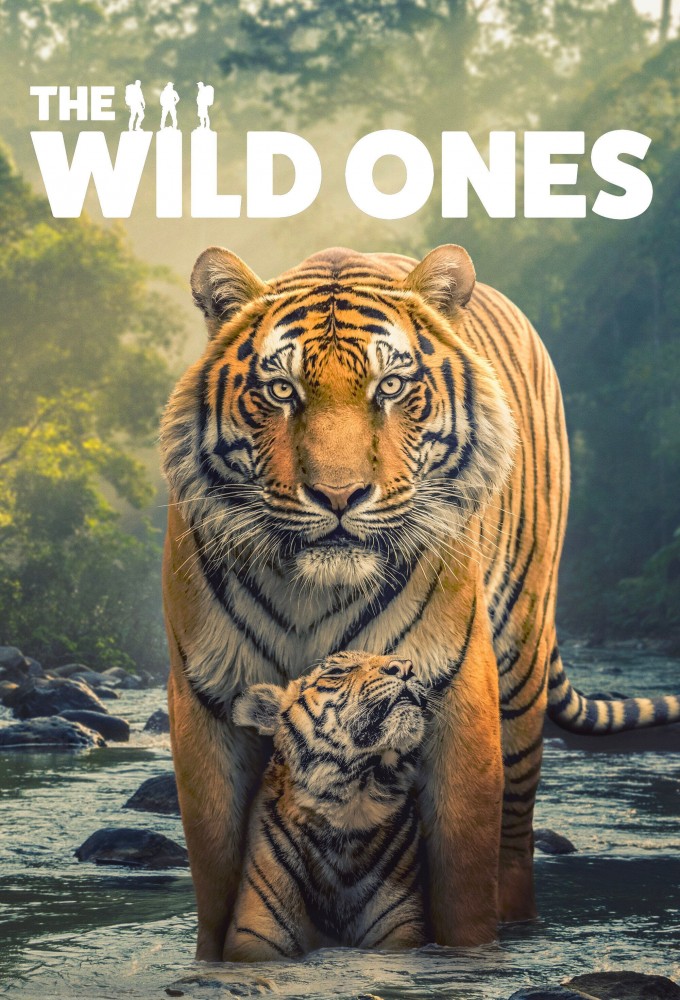 Poster de la serie The Wild Ones (2025)