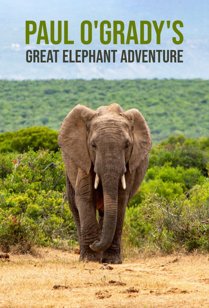 Poster de la serie Paul O’Grady’s Great Elephant Adventure