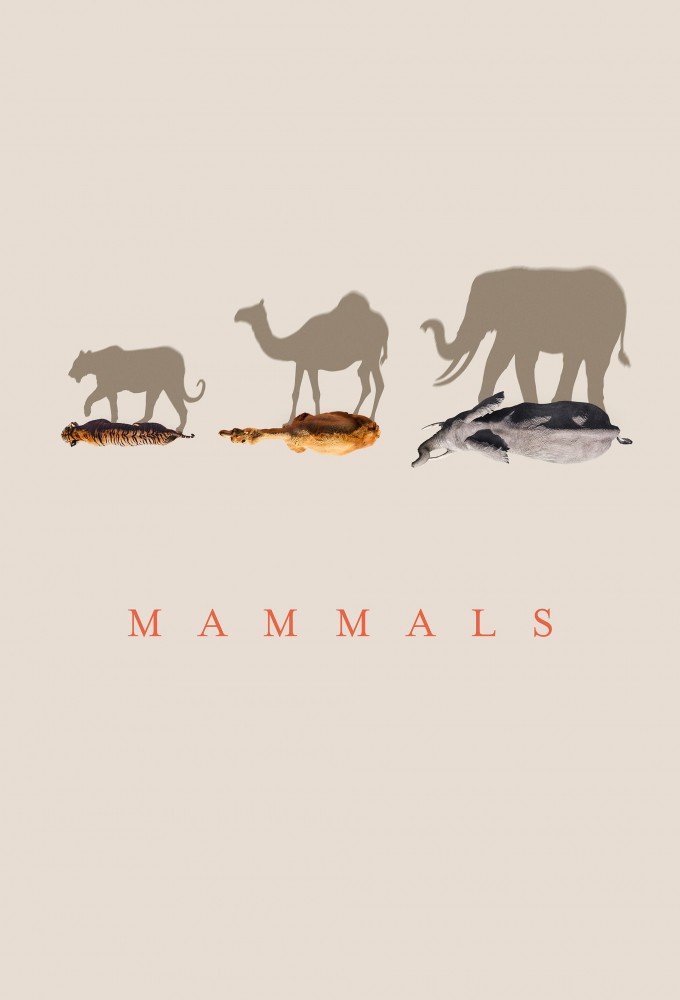 Poster de la serie Mammals (2024)