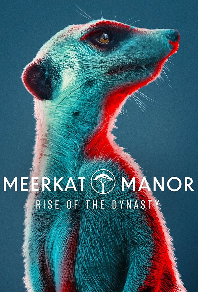 Poster de la serie Meerkat Manor: Rise of the Dynasty