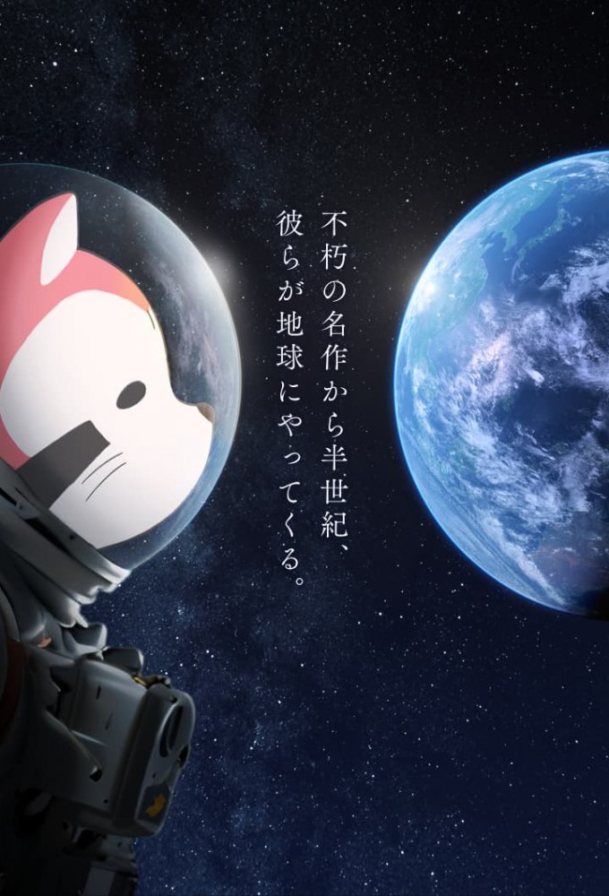 Poster de la serie Raccoon Calcal Force
