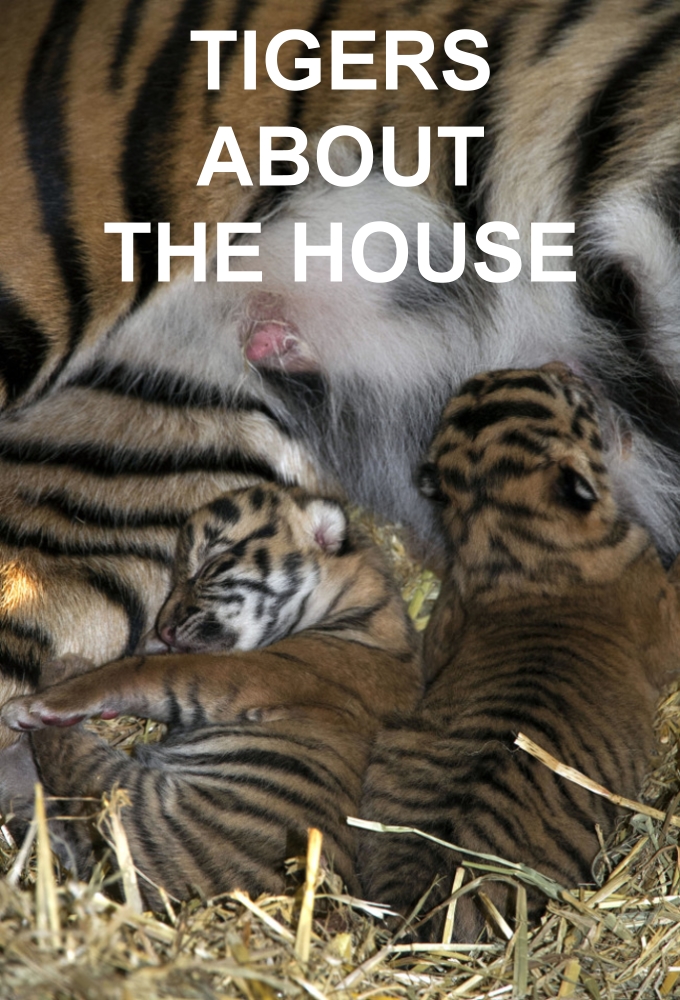 Poster de la serie Tigers About the House