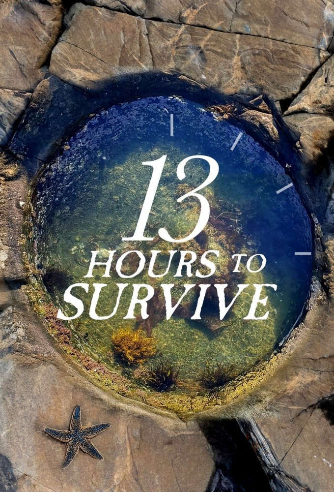 Poster de la serie 13 Hours to Survive